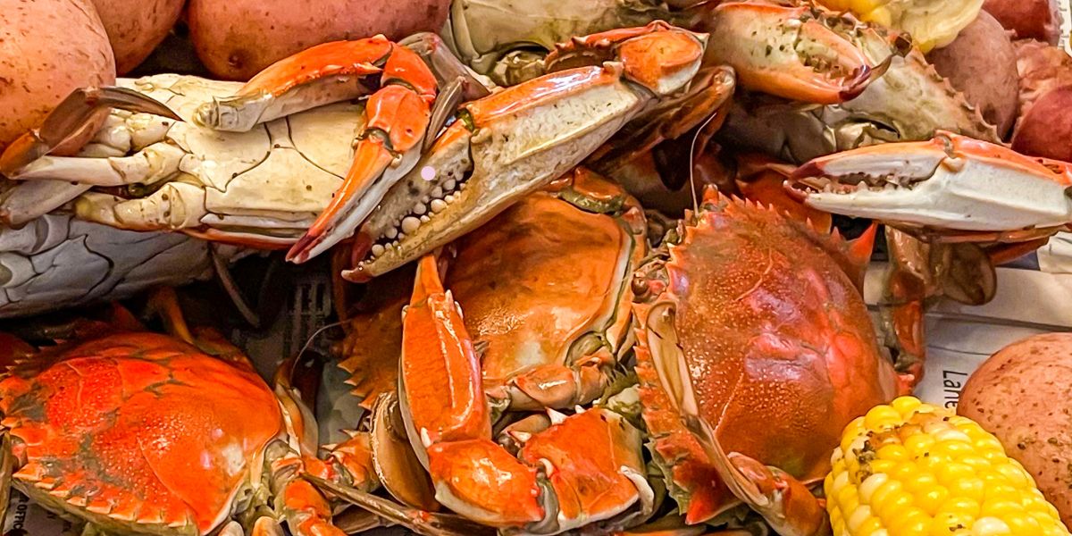 Live Crabs