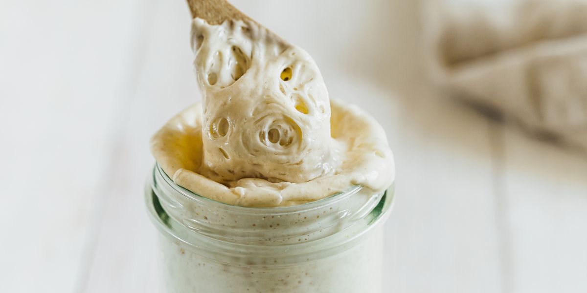 Sourdough Starter Maintenance