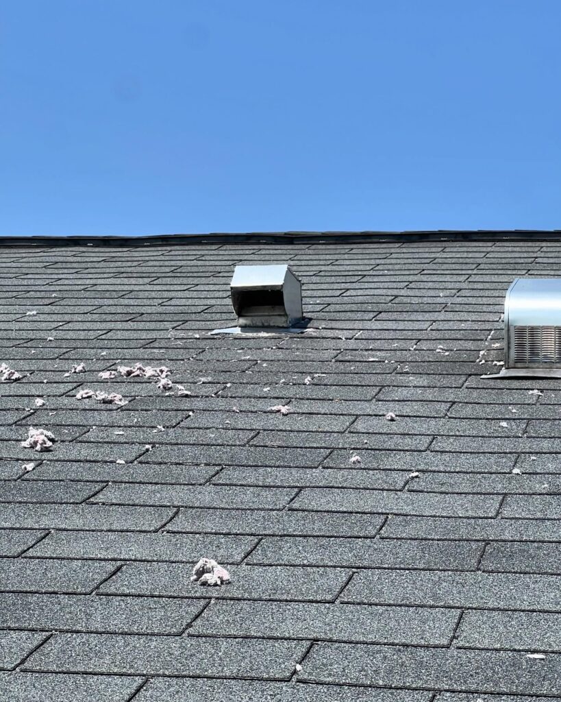 Lint blowing out means airflow is restored. Dryer vent cleaned!